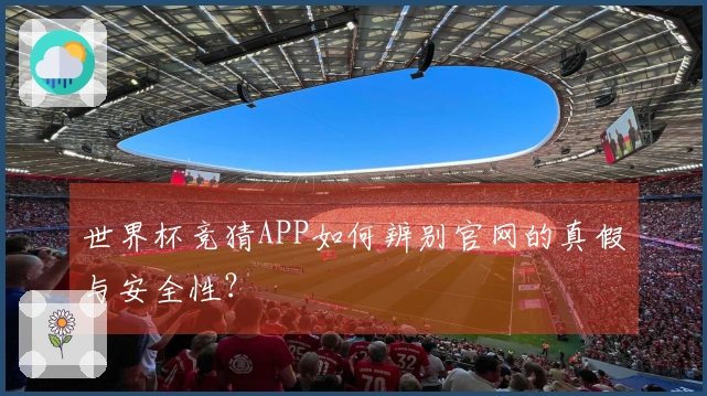 世界杯竞猜APP如何辨别官网的真假与安全性？