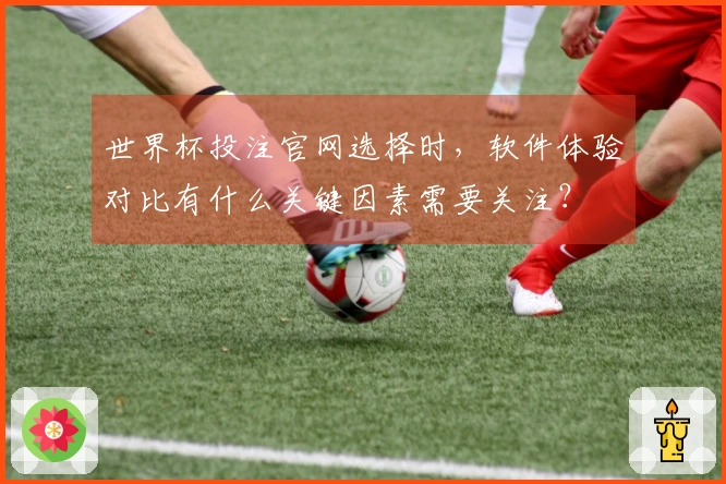 世界杯投注官网选择时，软件体验对比有什么关键因素需要关注？